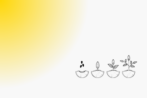 reziliencia es toleranciaablak