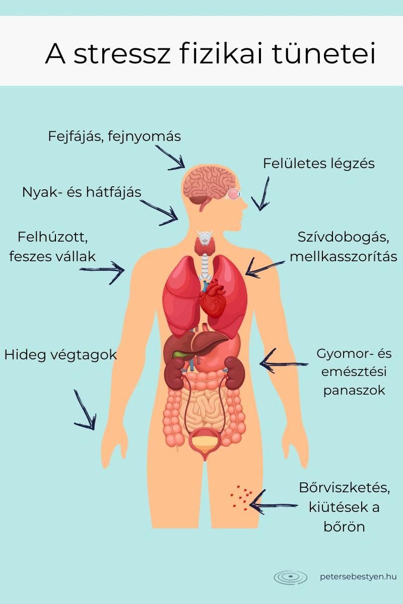 stressz fizikai tünetei