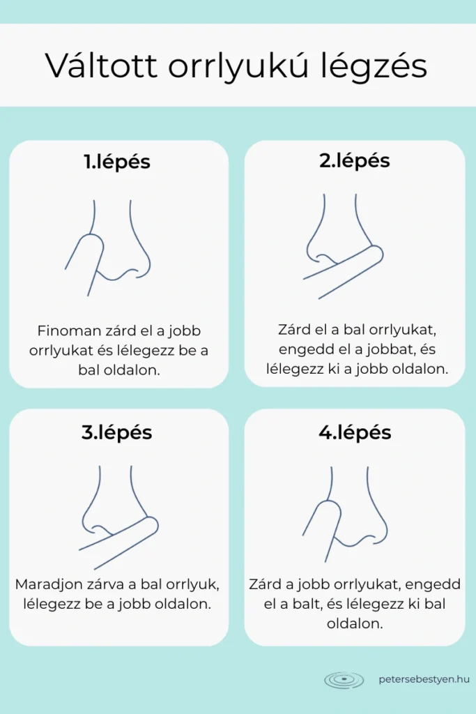 váltott orrlyukú légzés